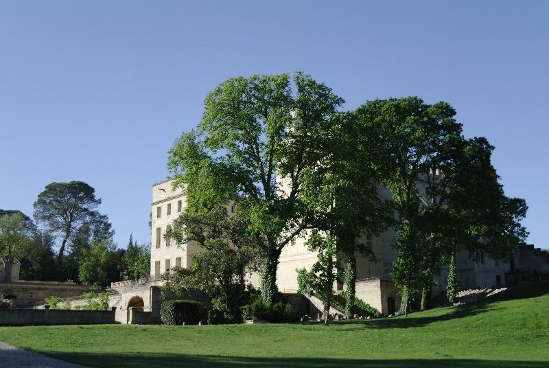 Chateau De Pondres Villevieille Екстер'єр фото
